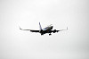 haneda_5788_mini.jpg