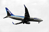 haneda_5794_mini.jpg