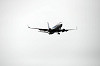 haneda_5798_mini.jpg