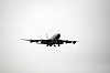 haneda_5834_mini.jpg
