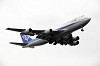 haneda_5841_mini.jpg