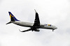 haneda_5875_mini.jpg