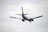 haneda_5882_mini.jpg
