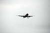 haneda_5897_mini.jpg