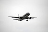 haneda_5899_mini.jpg