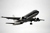 haneda_5901_mini.jpg