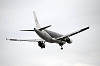 haneda_5917_mini.jpg