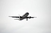 haneda_5933_mini.jpg