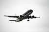 haneda_5934_mini.jpg