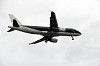 haneda_5944_mini.jpg