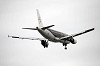 haneda_5949_mini.jpg