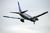 haneda_5960_mini.jpg