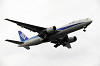 haneda_5966_mini.jpg