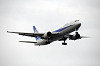 haneda_5975_mini.jpg