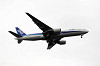 haneda_6022_mini.jpg