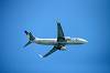 haneda_6079_mini.jpg