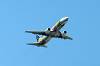 haneda_6168_mini.jpg