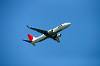 haneda_6186_mini.jpg