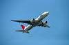 haneda_6236_mini.jpg