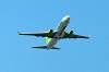haneda_6262_mini.jpg