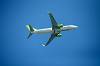 haneda_6279_mini.jpg