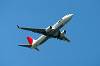 haneda_6293_mini.jpg