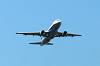 haneda_6331_mini.jpg