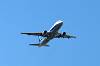 haneda_6332_mini.jpg