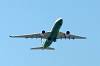 haneda_6383_mini.jpg