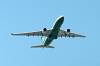 haneda_6384_mini.jpg
