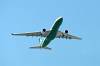 haneda_6385_mini.jpg