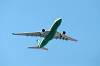 haneda_6386_mini.jpg