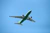 haneda_6388_mini.jpg