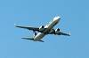 haneda_6433_mini.jpg