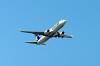 haneda_6434_mini.jpg
