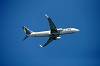 haneda_6445_mini.jpg