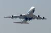 haneda_6451_mini.jpg