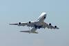 haneda_6452_mini.jpg