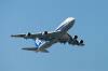 haneda_6455_mini.jpg