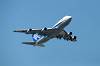 haneda_6456_mini.jpg