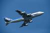 haneda_6464_mini.jpg
