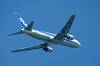 haneda_6529_mini.jpg