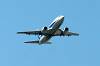 haneda_6648_mini.jpg