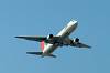 haneda_6779_mini.jpg