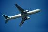 haneda_6832_mini.jpg