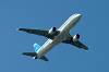 haneda_6895_mini.jpg