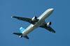 haneda_6896_mini.jpg