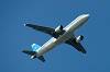 haneda_6897_mini.jpg