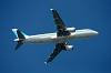 haneda_6906_mini.jpg