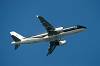 haneda_6955_mini.jpg